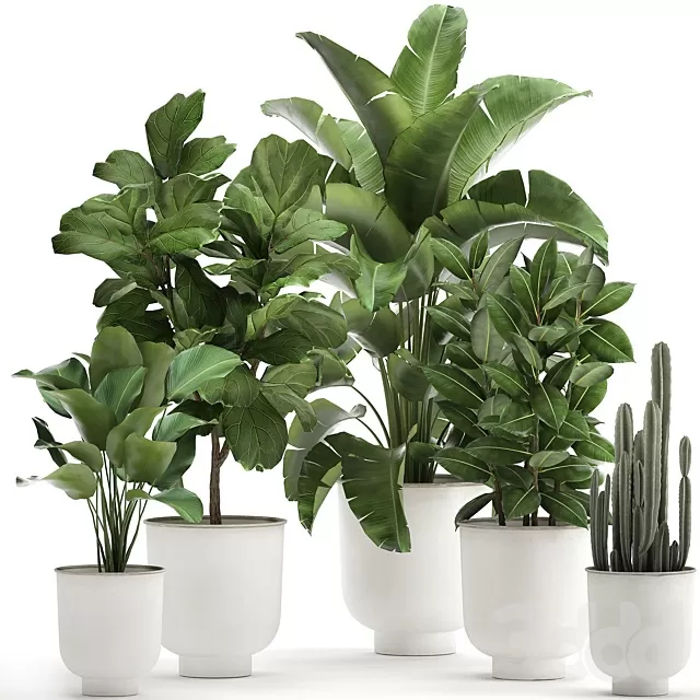 PLANTS – INDOOR – 3D MODELS – FREE DOWNLOAD – 17047