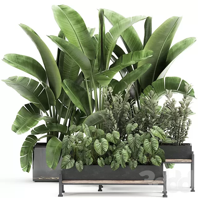 PLANTS – INDOOR – 3D MODELS – FREE DOWNLOAD – 17049