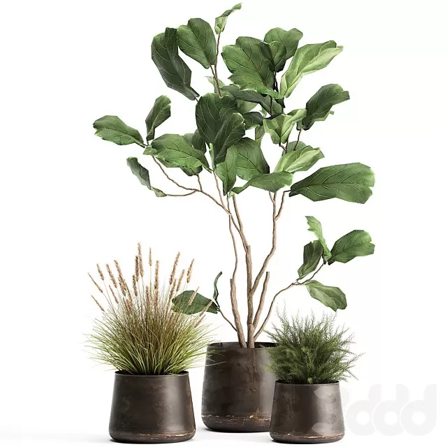 PLANTS – INDOOR – 3D MODELS – FREE DOWNLOAD – 17064