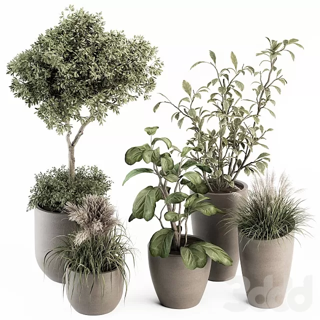 PLANTS – INDOOR – 3D MODELS – FREE DOWNLOAD – 17076