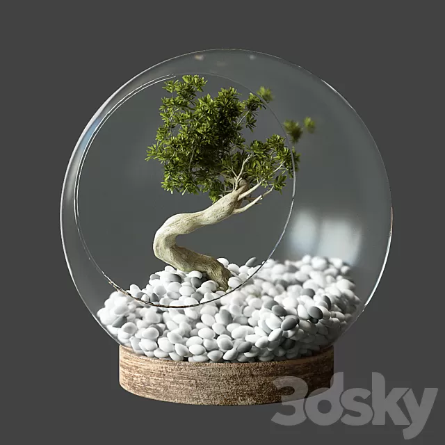 PLANTS – INDOOR – 3D MODELS – FREE DOWNLOAD – 17088