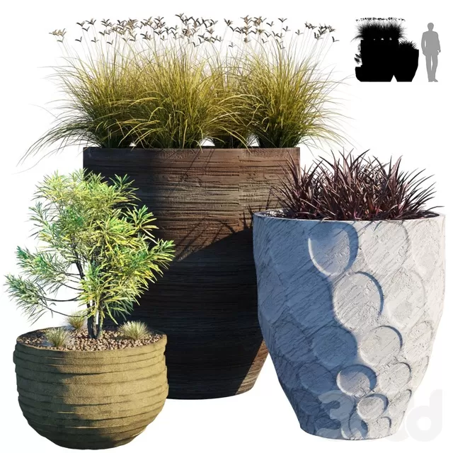 PLANTS – OUTDOOR – 3D MODELS – FREE DOWNLOAD – 17094