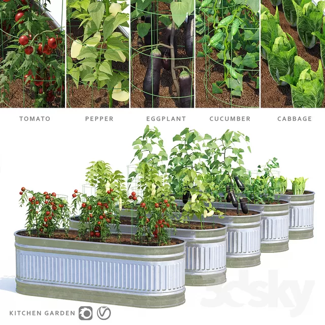 PLANTS – OUTDOOR – 3D MODELS – FREE DOWNLOAD – 17106