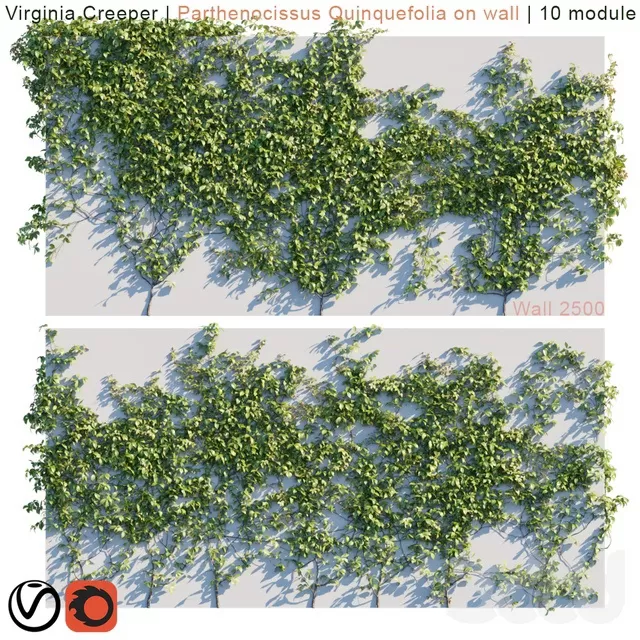 PLANTS – OUTDOOR – 3D MODELS – FREE DOWNLOAD – 17107