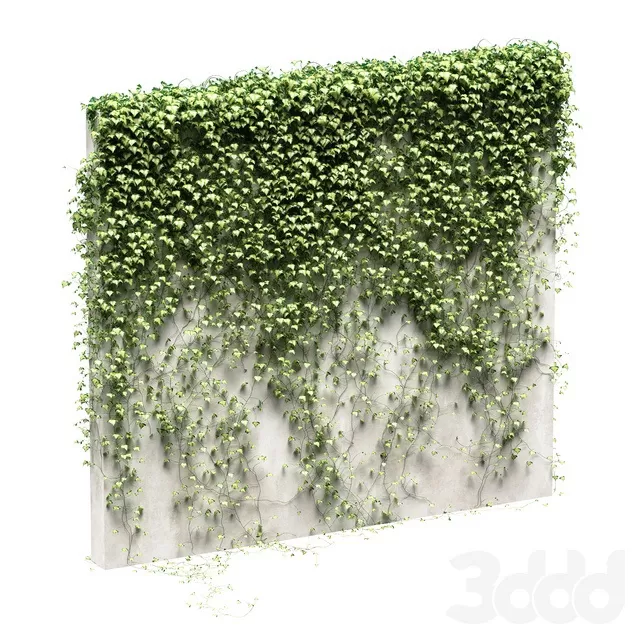 PLANTS – OUTDOOR – 3D MODELS – FREE DOWNLOAD – 17113