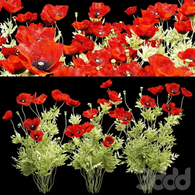 PLANTS – OUTDOOR – 3D MODELS – FREE DOWNLOAD – 17114