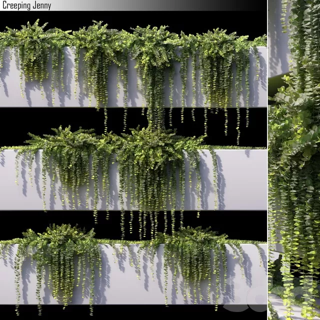 PLANTS – OUTDOOR – 3D MODELS – FREE DOWNLOAD – 17117