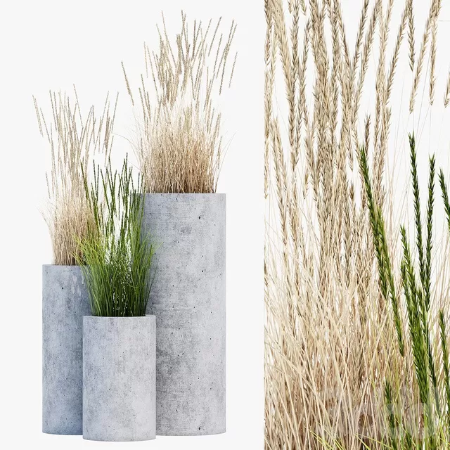 PLANTS – OUTDOOR – 3D MODELS – FREE DOWNLOAD – 17119