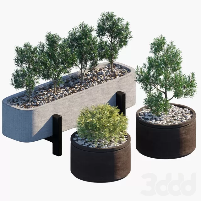 PLANTS – OUTDOOR – 3D MODELS – FREE DOWNLOAD – 17124