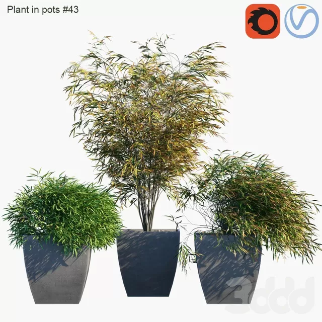 PLANTS – OUTDOOR – 3D MODELS – FREE DOWNLOAD – 17125