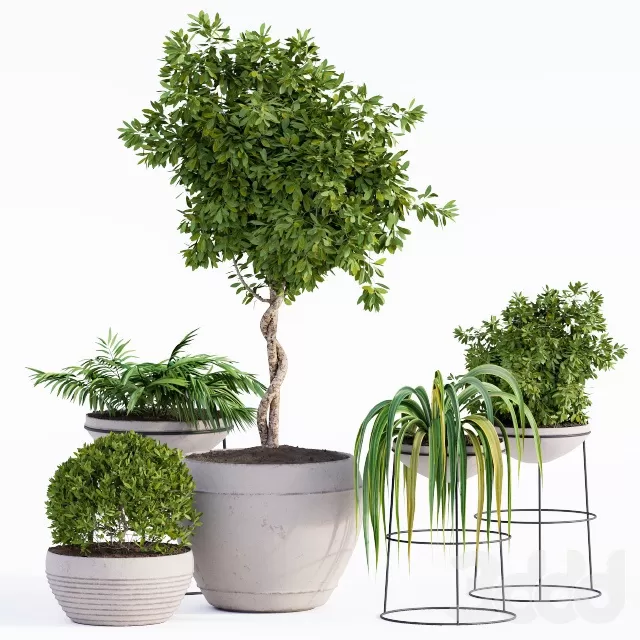 PLANTS – OUTDOOR – 3D MODELS – FREE DOWNLOAD – 17131