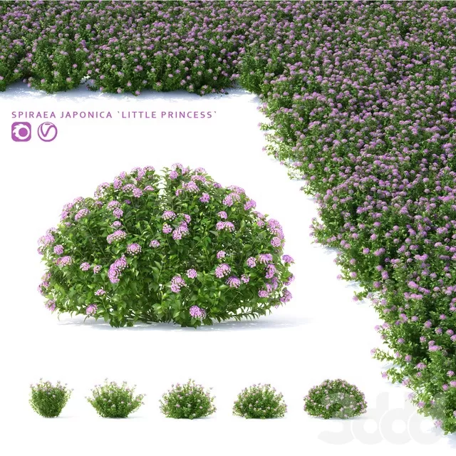 PLANTS – OUTDOOR – 3D MODELS – FREE DOWNLOAD – 17138