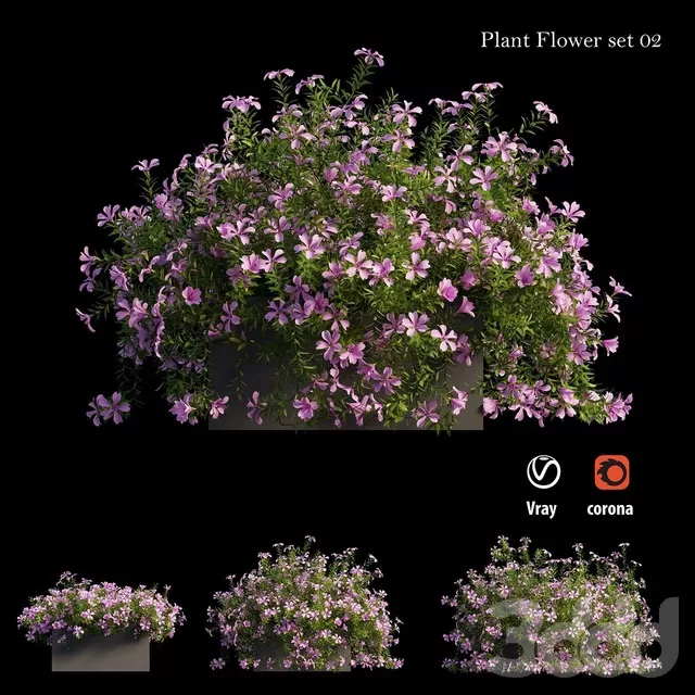 PLANTS – OUTDOOR – 3D MODELS – FREE DOWNLOAD – 17139