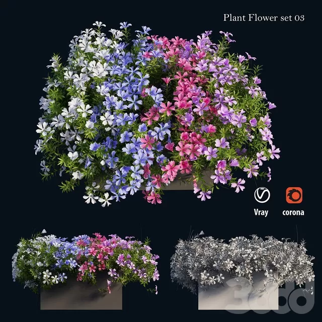PLANTS – OUTDOOR – 3D MODELS – FREE DOWNLOAD – 17140