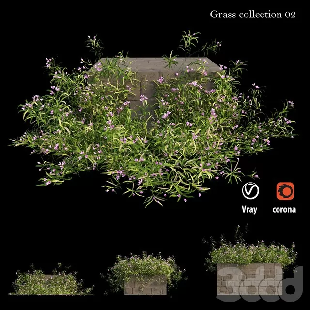 PLANTS – OUTDOOR – 3D MODELS – FREE DOWNLOAD – 17141