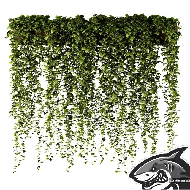 PLANTS – OUTDOOR – 3D MODELS – FREE DOWNLOAD – 17142