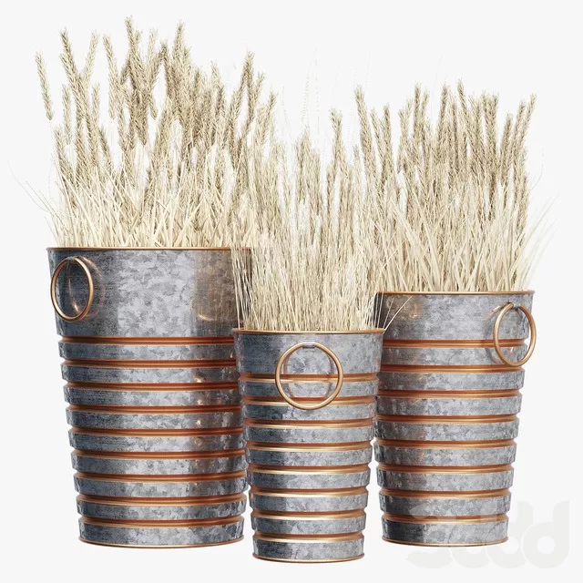 PLANTS – OUTDOOR – 3D MODELS – FREE DOWNLOAD – 17143