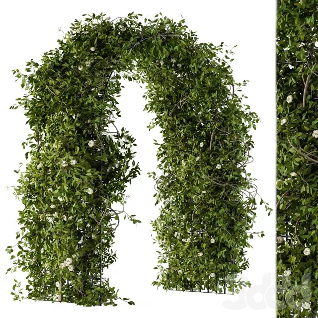 PLANTS – OUTDOOR – 3D MODELS – FREE DOWNLOAD – 17148