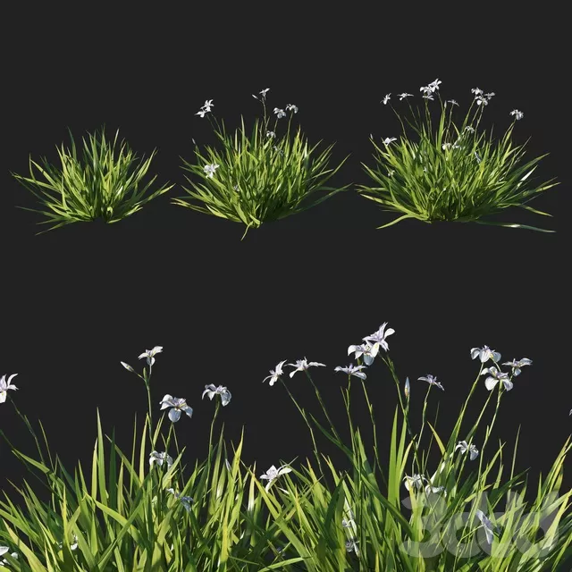 PLANTS – OUTDOOR – 3D MODELS – FREE DOWNLOAD – 17150