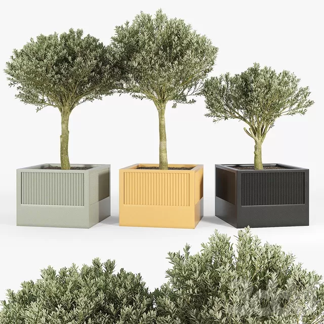 PLANTS – OUTDOOR – 3D MODELS – FREE DOWNLOAD – 17151