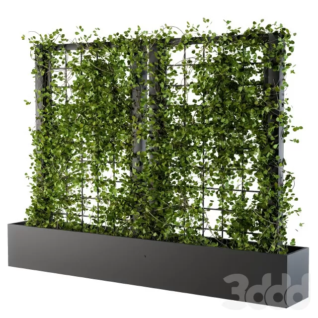 PLANTS – OUTDOOR – 3D MODELS – FREE DOWNLOAD – 17152