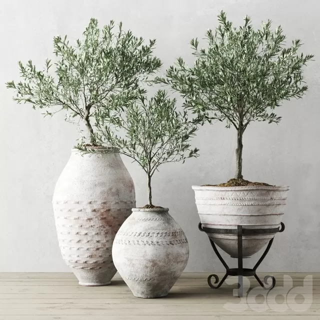 PLANTS – OUTDOOR – 3D MODELS – FREE DOWNLOAD – 17160