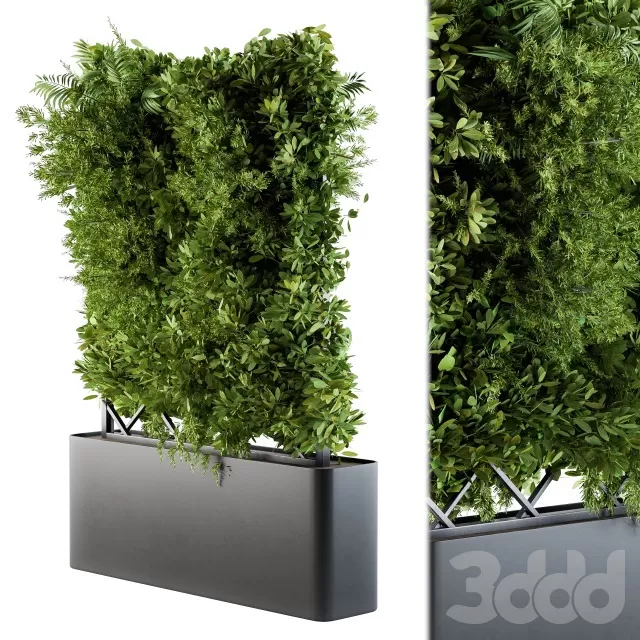 PLANTS – OUTDOOR – 3D MODELS – FREE DOWNLOAD – 17161
