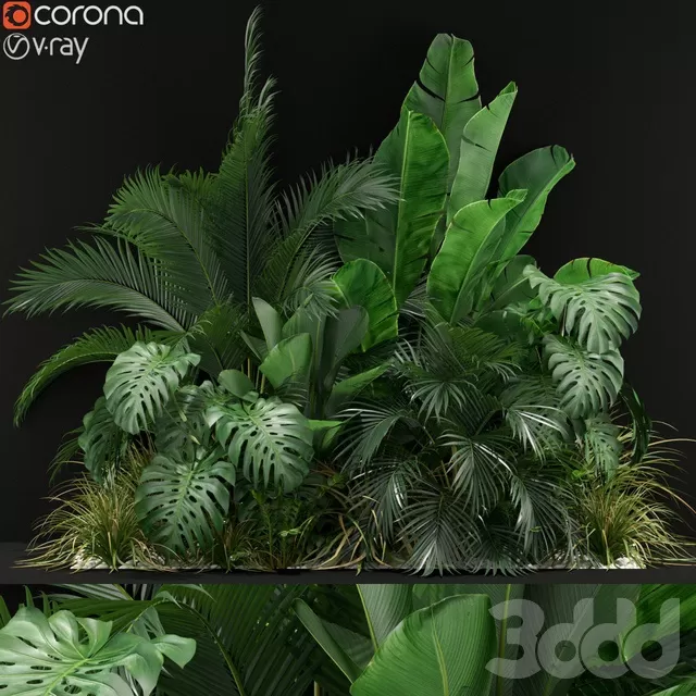 PLANTS – OUTDOOR – 3D MODELS – FREE DOWNLOAD – 17163