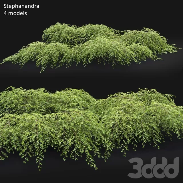 PLANTS – OUTDOOR – 3D MODELS – FREE DOWNLOAD – 17164
