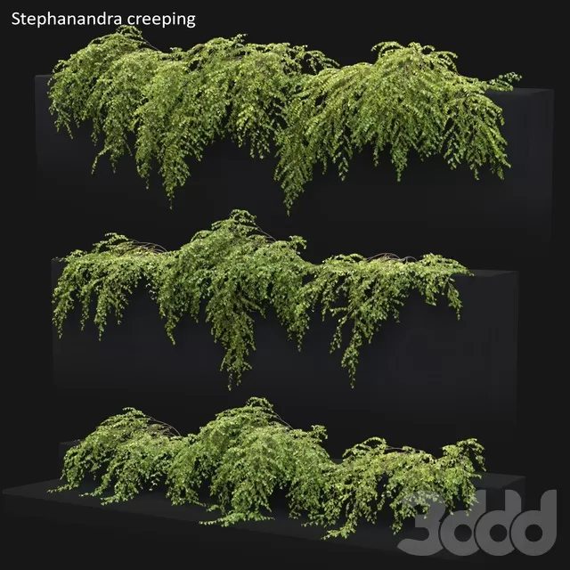 PLANTS – OUTDOOR – 3D MODELS – FREE DOWNLOAD – 17165