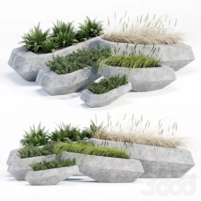 PLANTS – OUTDOOR – 3D MODELS – FREE DOWNLOAD – 17170