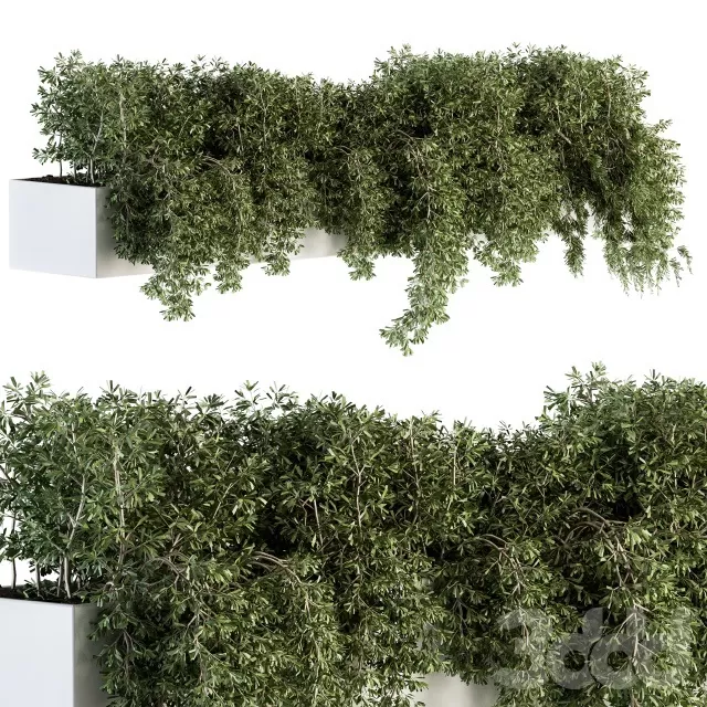 PLANTS – OUTDOOR – 3D MODELS – FREE DOWNLOAD – 17172