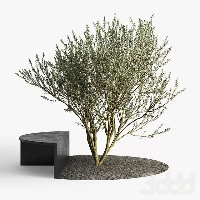 PLANTS – OUTDOOR – 3D MODELS – FREE DOWNLOAD – 17178