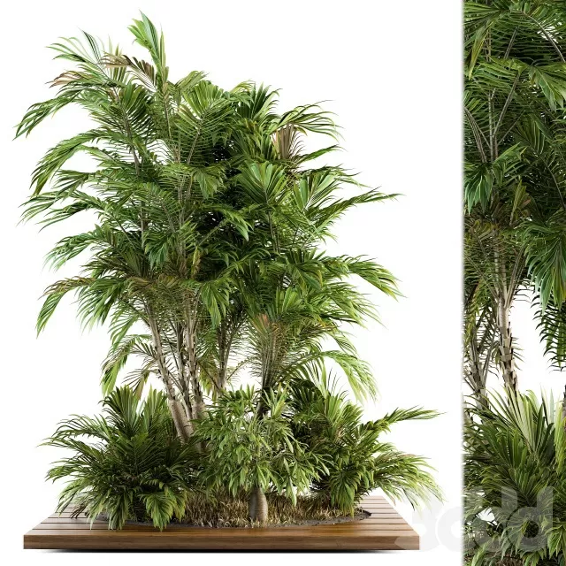 PLANTS – OUTDOOR – 3D MODELS – FREE DOWNLOAD – 17179