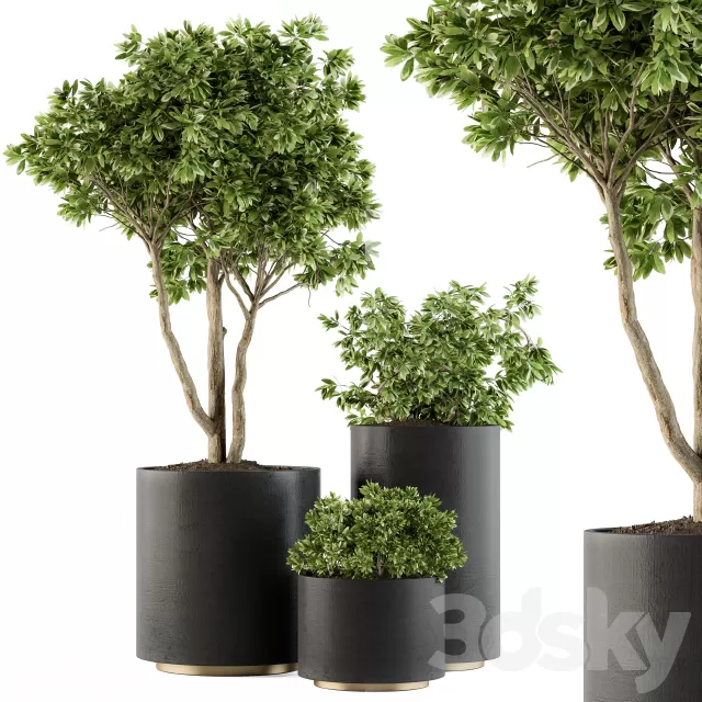 PLANTS – OUTDOOR – 3D MODELS – FREE DOWNLOAD – 17182