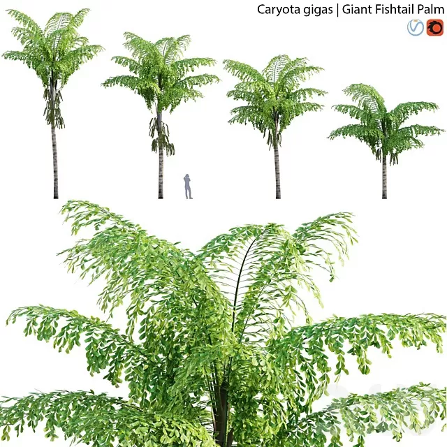 PLANTS – OUTDOOR – 3D MODELS – FREE DOWNLOAD – 17185