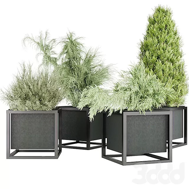 PLANTS – OUTDOOR – 3D MODELS – FREE DOWNLOAD – 17186