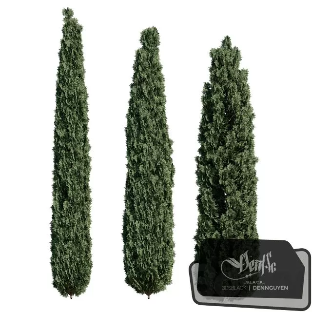 PLANTS – OUTDOOR – 3D MODELS – FREE DOWNLOAD – 17189