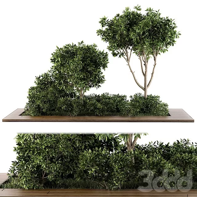 PLANTS – OUTDOOR – 3D MODELS – FREE DOWNLOAD – 17191