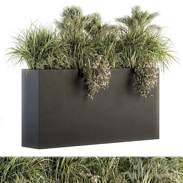 PLANTS – OUTDOOR – 3D MODELS – FREE DOWNLOAD – 17192