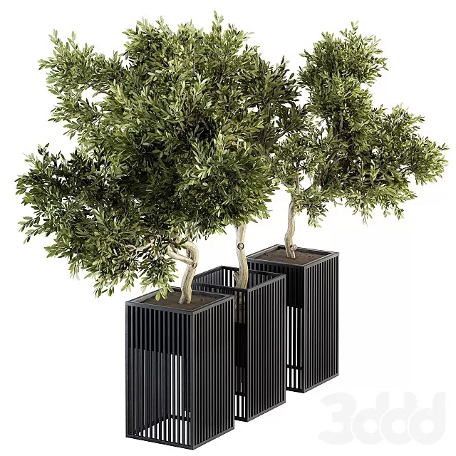 PLANTS – OUTDOOR – 3D MODELS – FREE DOWNLOAD – 17200