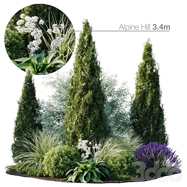 PLANTS – OUTDOOR – 3D MODELS – FREE DOWNLOAD – 17219