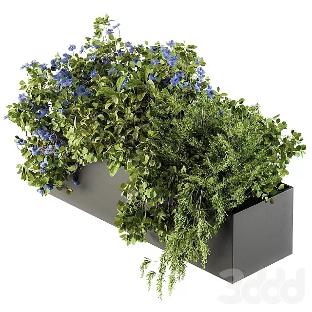 PLANTS – OUTDOOR – 3D MODELS – FREE DOWNLOAD – 17223