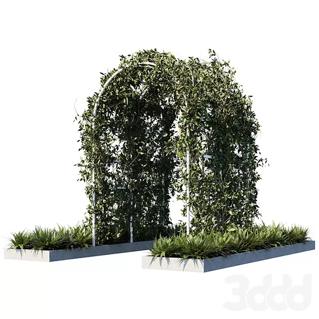PLANTS – OUTDOOR – 3D MODELS – FREE DOWNLOAD – 17229