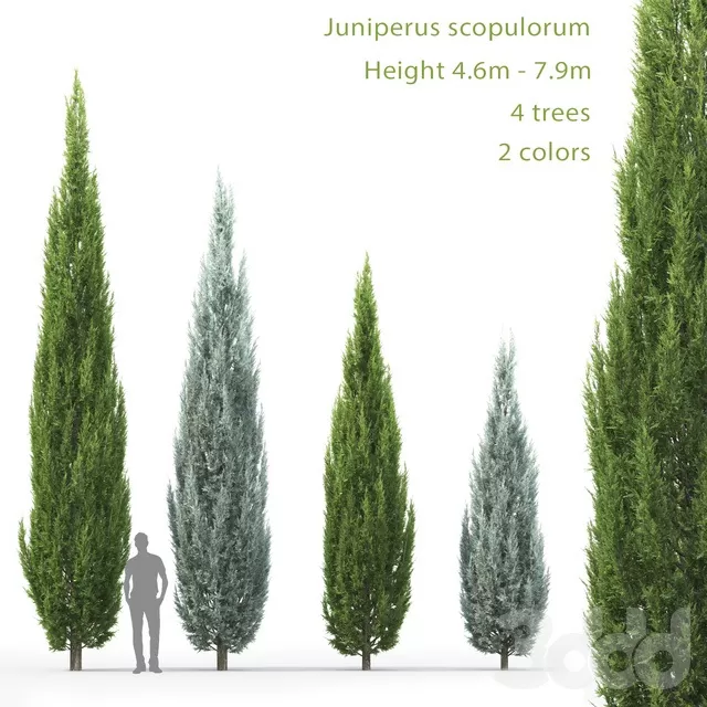 PLANTS – TREE – 3D MODELS – FREE DOWNLOAD – 17248