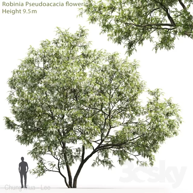 PLANTS – TREE – 3D MODELS – FREE DOWNLOAD – 17276