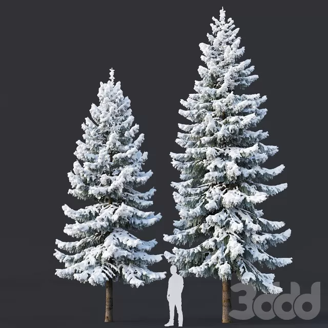 PLANTS – TREE – 3D MODELS – FREE DOWNLOAD – 17279
