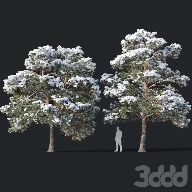PLANTS – TREE – 3D MODELS – FREE DOWNLOAD – 17299