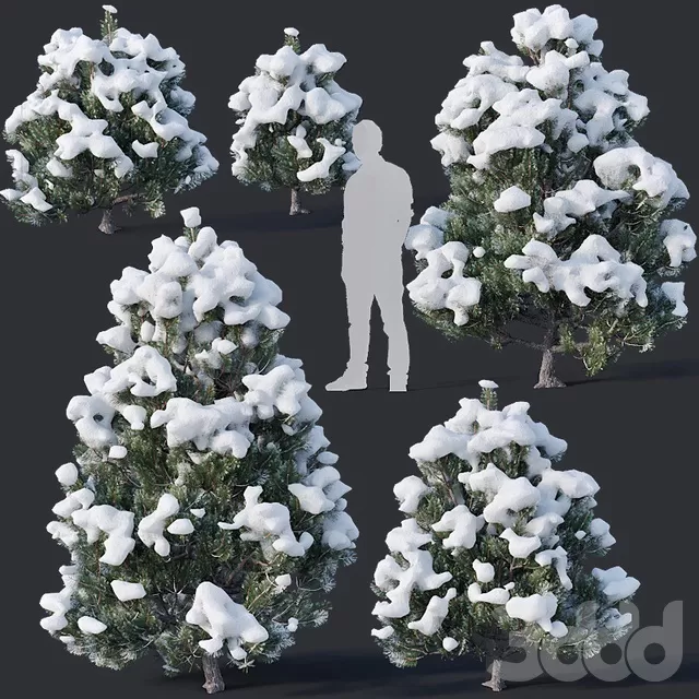 PLANTS – TREE – 3D MODELS – FREE DOWNLOAD – 17300
