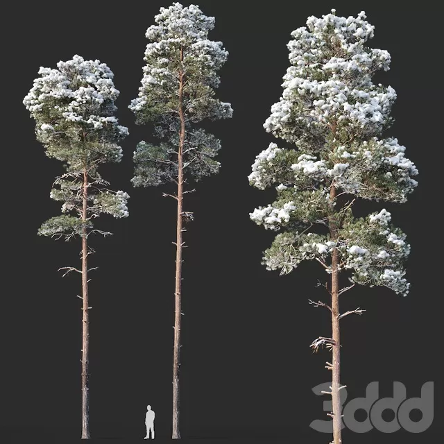 PLANTS – TREE – 3D MODELS – FREE DOWNLOAD – 17303